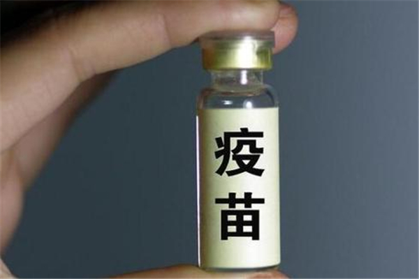 接种新冠疫苗前要空腹吗,新冠疫苗需不需要空腹