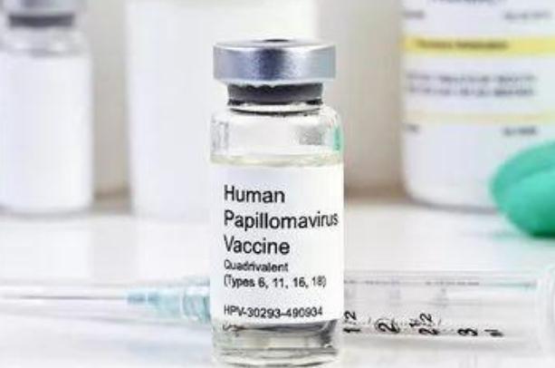 怀孕为什么不能打hpv疫苗,孕期可以接种HPV疫苗吗 怀孕为什么不能打hpv疫苗,孕期可以接种HPV疫苗吗