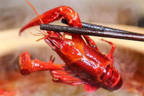 小龙虾怎么去头(小龙虾怎么去头处理) 小龙虾怎么去头(小龙虾怎么去头处理)