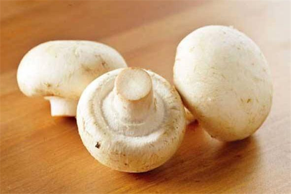 宝宝什么时候开始吃口蘑(婴儿几个月能吃口蘑)