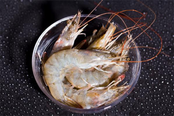 白虾怎么做好吃(白虾怎么做好吃又简单)