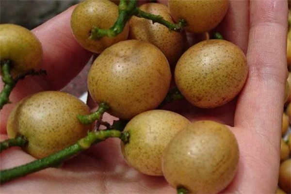 看看大家怎么说(望大家知道怎么说)