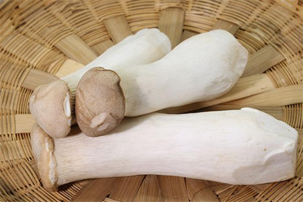 杏鲍菇怎么清洗(杏鲍菇怎么清洗干净)