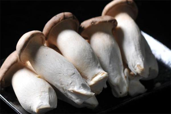 杏鲍菇可以不焯水吗(杏鲍菇可以不焯水吗)