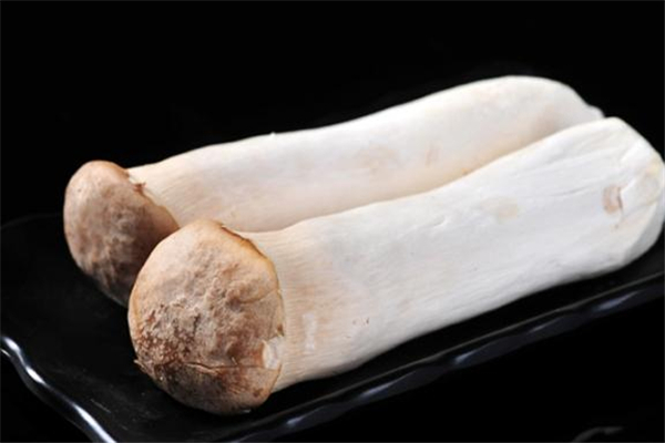 经常生吃杏鲍菇好吗(生吃杏鲍菇会怎么样)