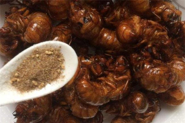 知了猴外壳可以吃吗(知了猴能吃吗)