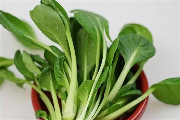 吃鸡毛菜的好处(吃鸡毛菜的好处)