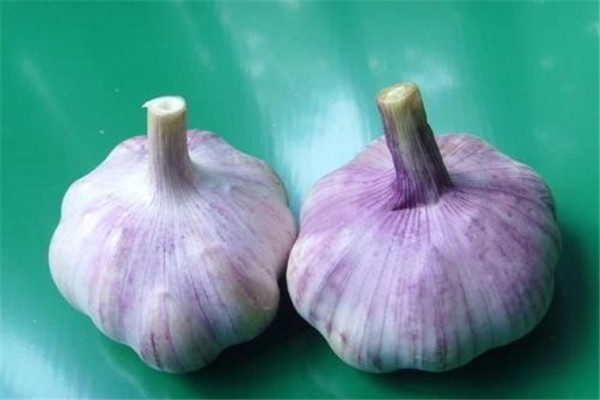 剥大蒜的小妙招(快速剥大蒜的小妙招) 剥大蒜的小妙招(快速剥大蒜的小妙招)