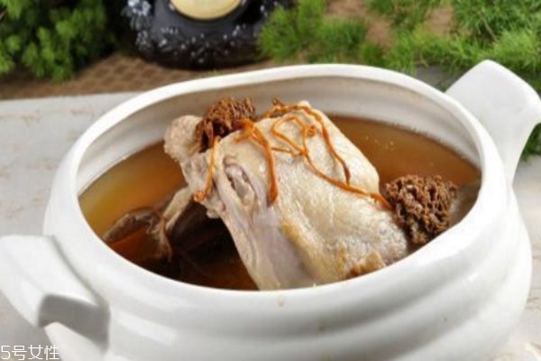 田七海马炖童子鸡汤的适宜人群(田七海马炖鸡汤的禁忌)