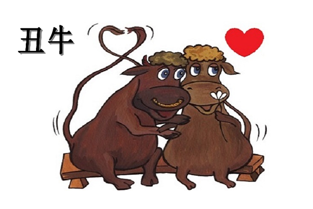 牛年本命年要注意什么?,牛年本命年要注意什么可以穿红色吗