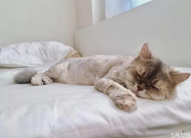 睡觉身体突然抖一下子,睡觉梦到摔倒身体突然抖一下子 睡觉身体突然抖一下子,睡觉梦到摔倒身体突然抖一下子