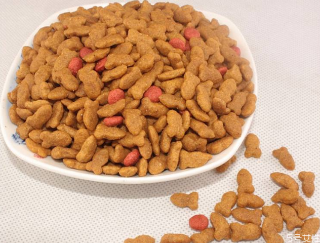 猫挑食会让自己饿死吗,猫挑食会不会宁愿饿死也不吃