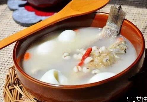 产后母猫如何补充营养,生产后母猫怎么补充营养