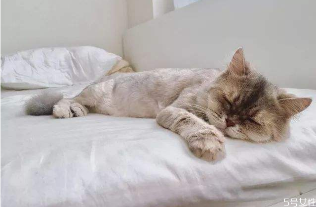 如何预防梦游,梦游应该怎么办