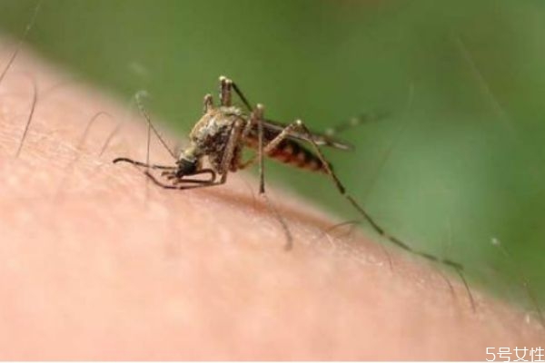 睡觉防蚊子的最好办法蚊子最怕什么,睡觉防蚊子的最好办法常用的 睡觉防蚊子的最好办法蚊子最怕什么,睡觉防蚊子的最好办法常用的