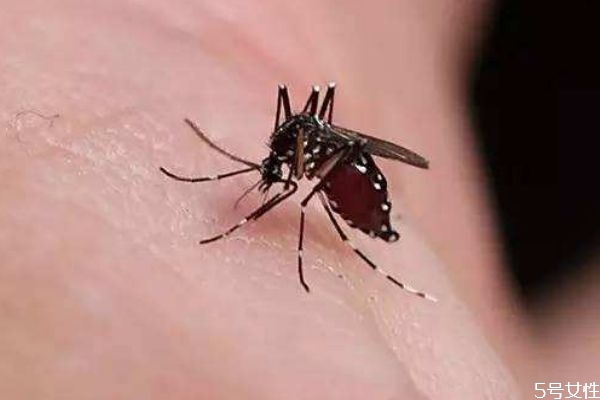 蚊子为什么要吸血 科普,雌性蚊子为什么要吸血