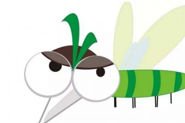 老让蚊子咬咋样解决,老被蚊子咬怎么解决