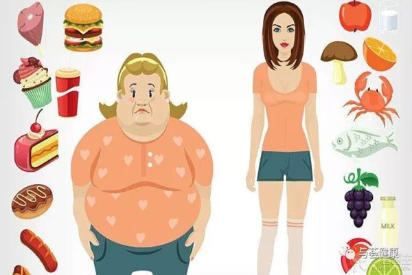 为什么上班会变胖,为什么上班之后越来越胖