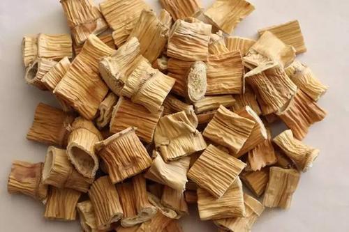 芦根的作用和功效,芦根的作用和功能主治