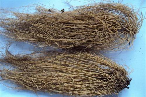 细辛有毒吗?,细辛有毒吗 服用要注意的副作用 细辛有毒吗?,细辛有毒吗 服用要注意的副作用