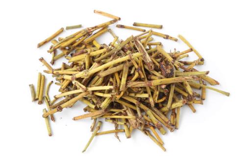 麻黄素和麻黄碱是一样的吗,麻黄碱素是指