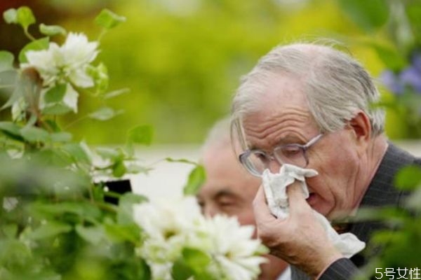 花粉过敏怎么办小偏方,花粉过敏治疗小妙招