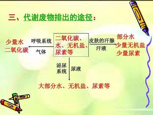 尿素高有什么危害,身体尿素高有什么影响