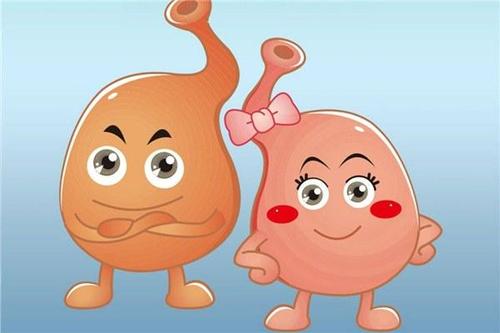 胃不好经常打嗝吃什么食物好,胃不好老是打嗝的有什么可以吃的?