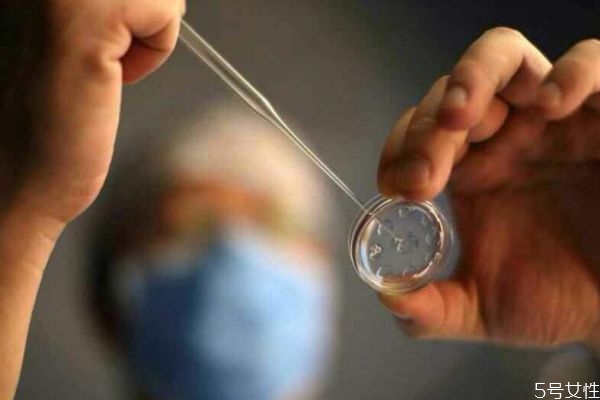 试管婴儿和普通婴儿一样吗,试管婴儿和普通孩子一样吗