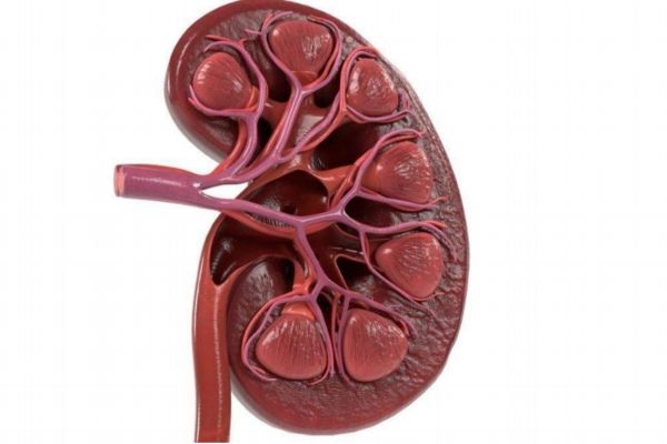 造成肾积水的原因有哪些,肾积水是什么导致的 造成肾积水的原因有哪些,肾积水是什么导致的