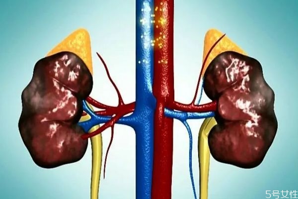 尿毒症的危害有哪些,尿毒症对人体有什么危害