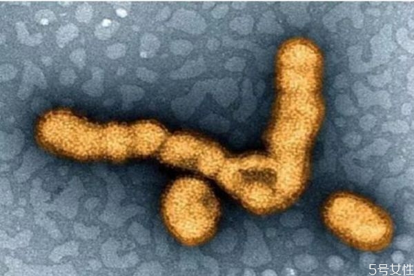 天花是什么症状,得天花的症状图片