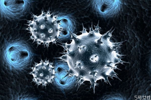 埃博拉病毒是什么,和埃博拉病毒一样危险的病毒