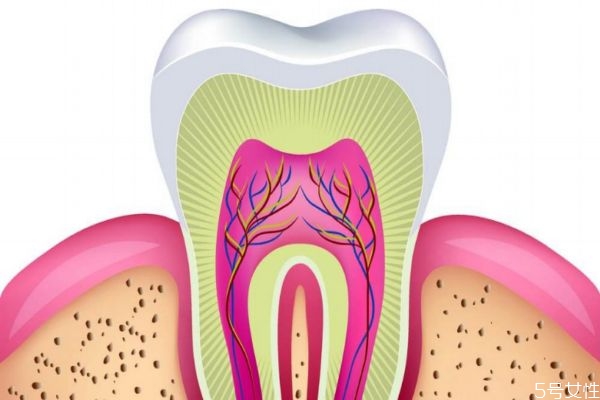牙齿松动吃啥,吃什么可以防止牙齿松动