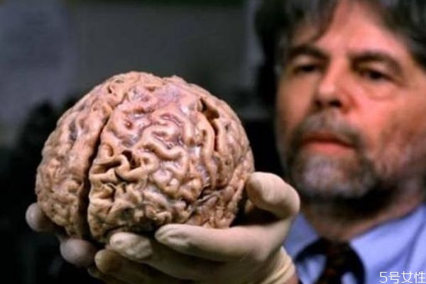 脑死亡能治吗,脑部死亡还有治吗