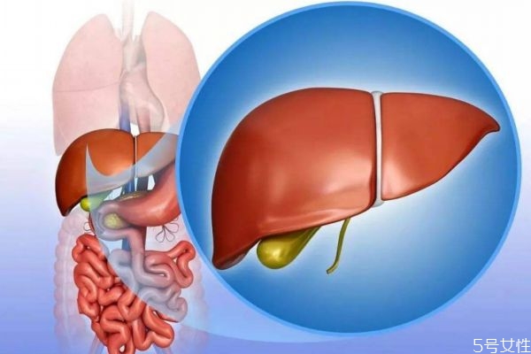 甲肝的危害,甲肝对人体有哪些危害