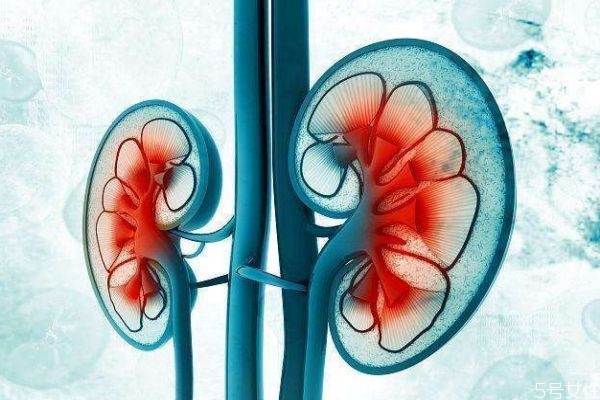 肾衰竭的危害,肾衰竭对人体有什么影响