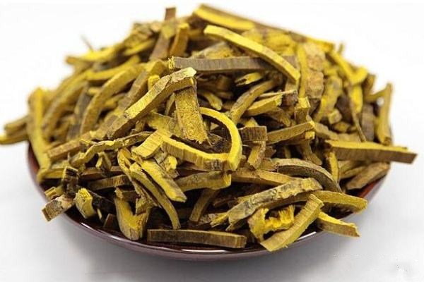 黄柏的性状特征,黄柏和关黄柏的来源和性状特征异同