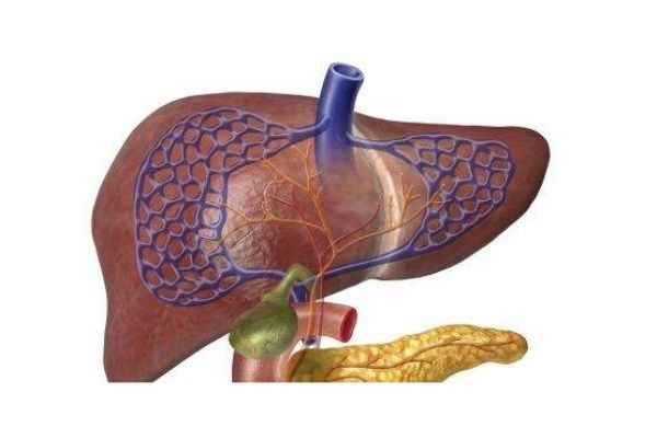 肝癌有什么症状呢?,肝癌有些什么症状