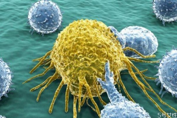 什么途径会感染艾滋病,哪些途径会传染艾滋病