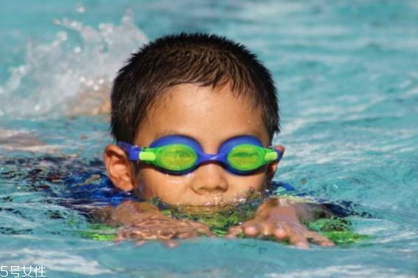 食脑虫存在什么地方,食脑虫图片长什么样子