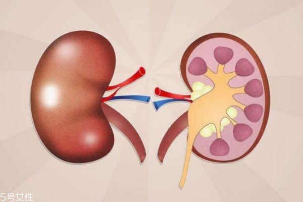 肾结石饮食禁忌 这些食物千万别吃,肾结石饮食禁忌吃什么比较好