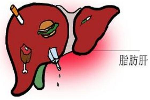 脂肪肝患者可以吃什么肉,脂肪肝吃肉可以吗