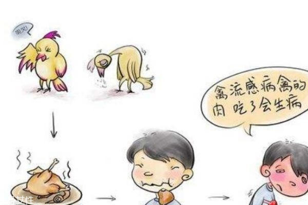 禽流感怎么预防,怎样预防禽流感的措施 禽流感怎么预防,怎样预防禽流感的措施