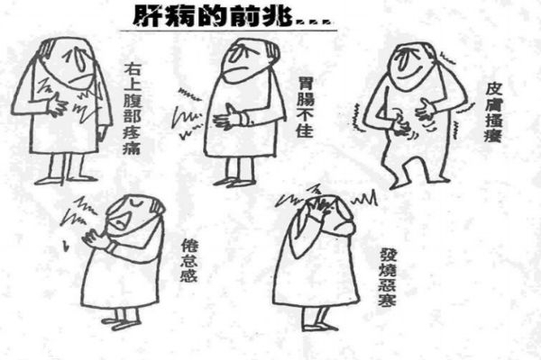 得乙肝是什么症状,得了乙肝有些什么症状