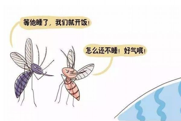 蚊子咬人的原因,被蚊子咬的原因