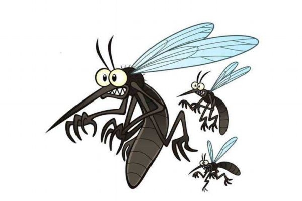 被蚊子叮咬后的正确处理方法,被蚊虫叮咬后怎么办