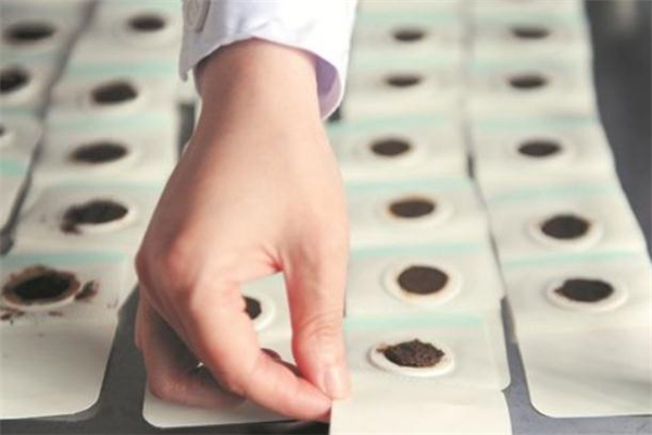 三伏贴错过了头伏怎么办,三伏天过后还能贴三伏贴吗