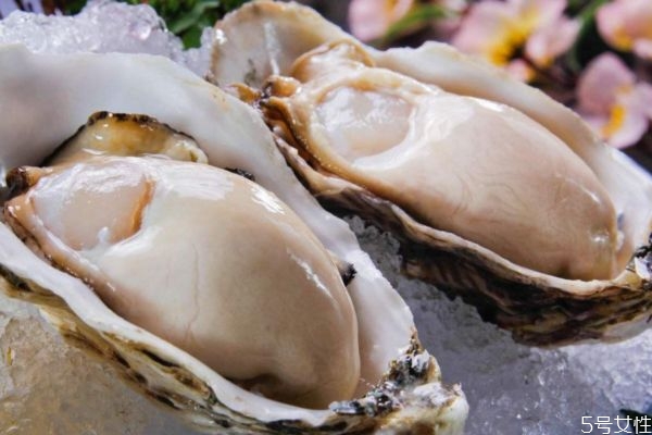 生蚝可以怎么吃(生蚝怎么个吃法)