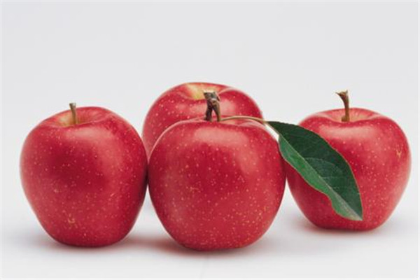 哪些人不适合吃苹果(哪些人不适合吃苹果) 哪些人不适合吃苹果(哪些人不适合吃苹果)